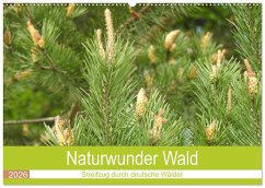 Naturwunder Wald (Wandkalender 2026 DIN A2 quer), CALVENDO Monatskalender