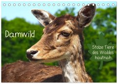 Cover Damwild - stolze Tiere des Waldes hautnah (Tischkalender 2026 DIN A5 quer), CALVENDO Monatskalender