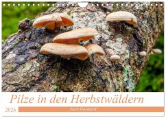 Pilze in den Herbstwäldern (Wandkalender 2026 DIN A4 quer), CALVENDO Monatskalender