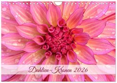Dahlien-Kronen (Wandkalender 2026 DIN A4 quer), CALVENDO Monatskalender