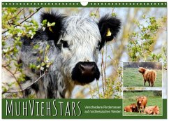 MuhViehStars (Wandkalender 2026 DIN A3 quer), CALVENDO Monatskalender