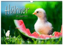 Hühner im Garten (Wandkalender 2026 DIN A3 quer), CALVENDO Monatskalender