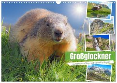 Cover Großglockner wunderschöne Berg- und Tierwelt (Wandkalender 2026 DIN A3 quer), CALVENDO Monatskalender