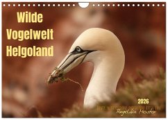 Wilde Vogelwelt Helgoland (Wandkalender 2026 DIN A4 quer), CALVENDO Monatskalender Wilde Vogelwelt Helgoland (Wandkalender 2026 DIN A4 quer), CALVENDO Monatskalender