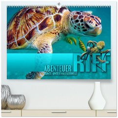 Abenteuer Riff - bunte Unterwasserwelt (hochwertiger Premium Wandkalender 2026 DIN A2 quer), Kunstdruck in Hochglanz Abenteuer Riff - bunte Unterwasserwelt (hochwertiger Premium Wandkalender 2026 DIN A2 quer), Kunstdruck in Hochglanz