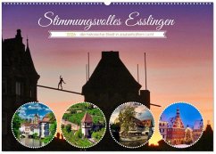 Stimmungsvolles Esslingen (Wandkalender 2026 DIN A2 quer), CALVENDO Monatskalender