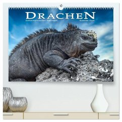 Drachen: Geheimnisvolles Tierreich (hochwertiger Premium Wandkalender 2026 DIN A2 quer), Kunstdruck in Hochglanz Cover Drachen: Geheimnisvolles Tierreich (hochwertiger Premium Wandkalender 2026 DIN A2 quer), Kunstdruck in Hochglanz