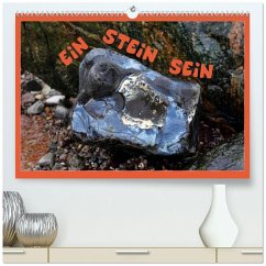 EIN STEIN SEIN (hochwertiger Premium Wandkalender 2026 DIN A2 quer), Kunstdruck in Hochglanz EIN STEIN SEIN (hochwertiger Premium Wandkalender 2026 DIN A2 quer), Kunstdruck in Hochglanz