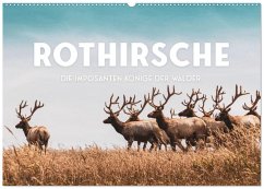 Rothirsche - Die imposanten Könige der Wälder. (Wandkalender 2026 DIN A2 quer), CALVENDO Monatskalender