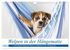 Cover Welpen in der Hängematte (Wandkalender 2026 DIN A4 quer), CALVENDO Monatskalender
