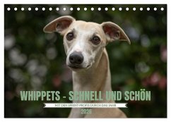 WHIPPETS - SCHNELL UND SCHÖN (Tischkalender 2026 DIN A5 quer), CALVENDO Monatskalender WHIPPETS - SCHNELL UND SCHÖN (Tischkalender 2026 DIN A5 quer), CALVENDO Monatskalender