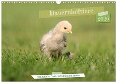 Bauernhoftiere - Von Klein bis Groß, mit Fell und mit Federn. (Wandkalender 2026 DIN A3 quer), CALVENDO Monatskalender Bauernhoftiere - Von Klein bis Groß, mit Fell und mit Federn. (Wandkalender 2026 DIN A3 quer), CALVENDO Monatskalender
