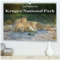 Auf Safari im Kruger National Park (hochwertiger Premium Wandkalender 2026 DIN A2 quer), Kunstdruck in Hochglanz Auf Safari im Kruger National Park (hochwertiger Premium Wandkalender 2026 DIN A2 quer), Kunstdruck in Hochglanz