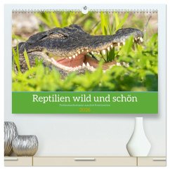 Cover Reptilien wild und schön (hochwertiger Premium Wandkalender 2026 DIN A2 quer), Kunstdruck in Hochglanz