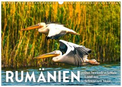 Rumänien - Das beeindruckende Land am Schwarzen Meer. (Wandkalender 2026 DIN A3 quer), CALVENDO Monatskalender