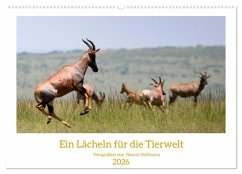 Ein Lächeln für die Tierwelt (Wandkalender 2026 DIN A2 quer), CALVENDO Monatskalender