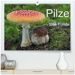 Cover Pilze - tolle Funde (hochwertiger Premium Wandkalender 2026 DIN A2 quer), Kunstdruck in Hochglanz