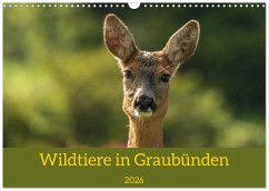 Wildtiere in Graubünden (Wandkalender 2026 DIN A3 quer), CALVENDO Monatskalender Cover Wildtiere in Graubünden (Wandkalender 2026 DIN A3 quer), CALVENDO Monatskalender