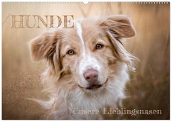 Hunde - Unsere Lieblingsnasen (Wandkalender 2026 DIN A2 quer), CALVENDO Monatskalender