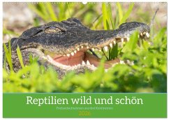 Cover Reptilien wild und schön (Wandkalender 2026 DIN A2 quer), CALVENDO Monatskalender
