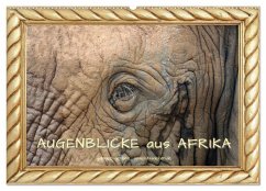 Cover Augenblicke aus Afrika (Wandkalender 2026 DIN A2 quer), CALVENDO Monatskalender