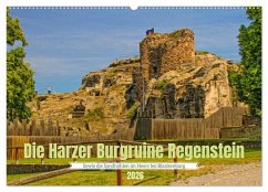 Cover Die Harzer Burgruine Regenstein - Sowie die Sandhöhlen im Heers bei Blankenburg (Wandkalender 2026 DIN A2 quer), CALVENDO Monatskalender