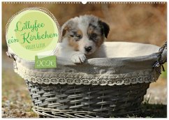 Lillyfee und ein Körbchen voller Glück (Wandkalender 2026 DIN A2 quer), CALVENDO Monatskalender Lillyfee und ein Körbchen voller Glück (Wandkalender 2026 DIN A2 quer), CALVENDO Monatskalender