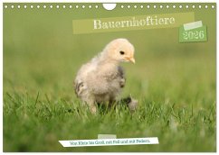 Cover Bauernhoftiere - Von Klein bis Groß, mit Fell und mit Federn. (Wandkalender 2026 DIN A4 quer), CALVENDO Monatskalender