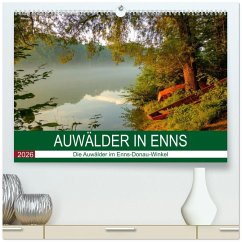 Auwälder bei Enns (hochwertiger Premium Wandkalender 2026 DIN A2 quer), Kunstdruck in Hochglanz Auwälder bei Enns (hochwertiger Premium Wandkalender 2026 DIN A2 quer), Kunstdruck in Hochglanz