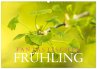 Fantastischer Frühling (Wandkalender... - Bild 1