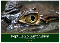 Reptilien & Amphibien Portraits (Wandkalender 2026 DIN A2 quer), CALVENDO Monatskalender