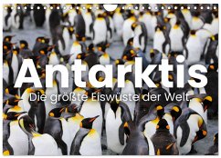 Cover Antarktis - Die größte Eiswüste der Welt. (Wandkalender 2026 DIN A4 quer), CALVENDO Monatskalender