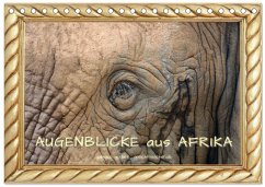 Cover Augenblicke aus Afrika (Tischkalender 2026 DIN A5 quer), CALVENDO Monatskalender