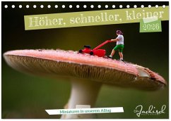 Höher, schneller, kleiner - Miniaturen in unserem Alltag (Tischkalender 2026 DIN A5 quer), CALVENDO Monatskalender