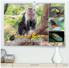 Costa Rica - Tropische Tierwelt (hochwertiger Premium Wandkalender 2026 DIN A2 quer), Kunstdruck in Hochglanz Costa Rica - Tropische Tierwelt (hochwertiger Premium Wandkalender 2026 DIN A2 quer), Kunstdruck in Hochglanz