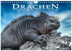 Drachen: Geheimnisvolles Tierreich (Wandkalender 2026 DIN A4 quer), CALVENDO Monatskalender Cover Drachen: Geheimnisvolles Tierreich (Wandkalender 2026 DIN A4 quer), CALVENDO Monatskalender