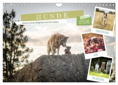 Hunde, unsere treuen Begleiter durch's Leben. (Wandkalender 2026 DIN A4 quer), CALVENDO Monatskalender Hunde, unsere treuen Begleiter durch's Leben. (Wandkalender 2026 DIN A4 quer), CALVENDO Monatskalender