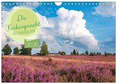 Die Farbenpracht der Lüneburger Heide (Wandkalender 2026 DIN A4 quer), CALVENDO Monatskalender Die Farbenpracht der Lüneburger Heide (Wandkalender 2026 DIN A4 quer), CALVENDO Monatskalender