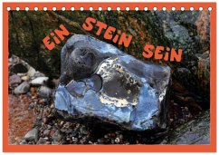 EIN STEIN SEIN (Tischkalender 2026 DIN A5 quer), CALVENDO Monatskalender EIN STEIN SEIN (Tischkalender 2026 DIN A5 quer), CALVENDO Monatskalender