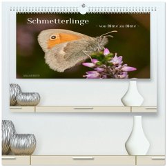 Schmetterlinge - von Blüte zu Blüte - (hochwertiger Premium Wandkalender 2026 DIN A2 quer), Kunstdruck in Hochglanz Schmetterlinge - von Blüte zu Blüte - (hochwertiger Premium Wandkalender 2026 DIN A2 quer), Kunstdruck in Hochglanz