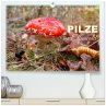 Pilze im Elfenwald (hochwertiger... - Bild 1