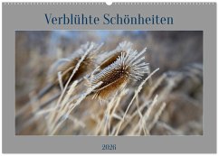 Verblühte Schönheiten (Wandkalender 2026 DIN A2 quer), CALVENDO Monatskalender