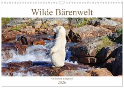 Cover Wilde Bärenwelt (Wandkalender 2026 DIN A3 quer), CALVENDO Monatskalender