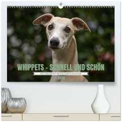 WHIPPETS - SCHNELL UND SCHÖN (hochwertiger Premium Wandkalender 2026 DIN A2 quer), Kunstdruck in Hochglanz WHIPPETS - SCHNELL UND SCHÖN (hochwertiger Premium Wandkalender 2026 DIN A2 quer), Kunstdruck in Hochglanz