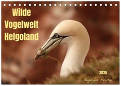 Wilde Vogelwelt Helgoland (Tischkalender 2026 DIN A5 quer), CALVENDO Monatskalender Wilde Vogelwelt Helgoland (Tischkalender 2026 DIN A5 quer), CALVENDO Monatskalender