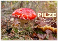 Cover Pilze im Elfenwald (Wandkalender 2026 DIN A2 quer), CALVENDO Monatskalender