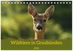 Wildtiere in Graubünden (Tischkalender 2026 DIN A5 quer), CALVENDO Monatskalender Cover Wildtiere in Graubünden (Tischkalender 2026 DIN A5 quer), CALVENDO Monatskalender