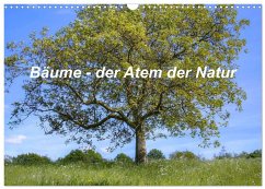 Cover Bäume, der Atem der Natur (Wandkalender 2026 DIN A3 quer), CALVENDO Monatskalender