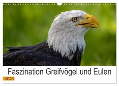 Faszination Greifvögel und Eulen (Wandkalender 2026 DIN A3 quer), CALVENDO Monatskalender
