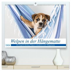 Cover Welpen in der Hängematte (hochwertiger Premium Wandkalender 2026 DIN A2 quer), Kunstdruck in Hochglanz